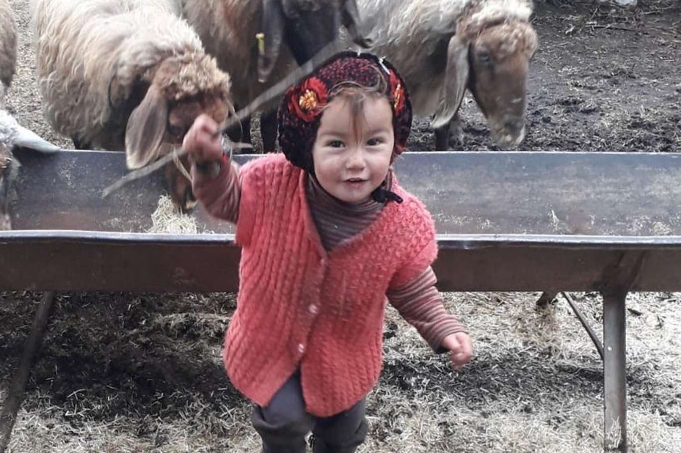 Müslüme Yağal'ın dedesi tutuklandı Müslüme Yağal'ın dedesi tutuklandı